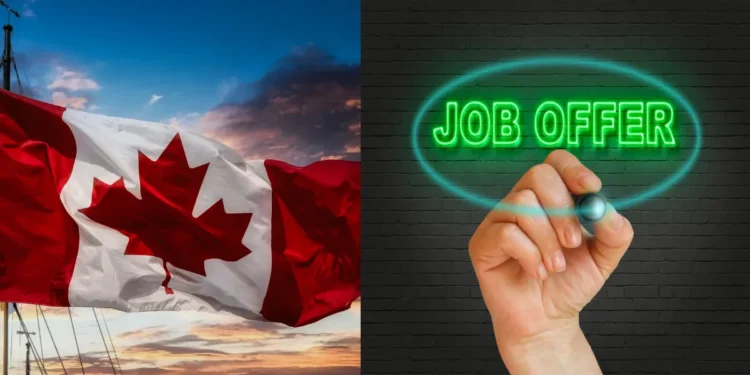 Federal government employment opportunities Canada